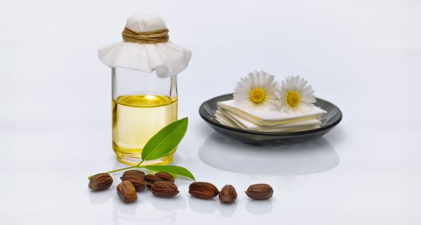 Read more about the article Jump on the jojoba bandwagon – now is the time!